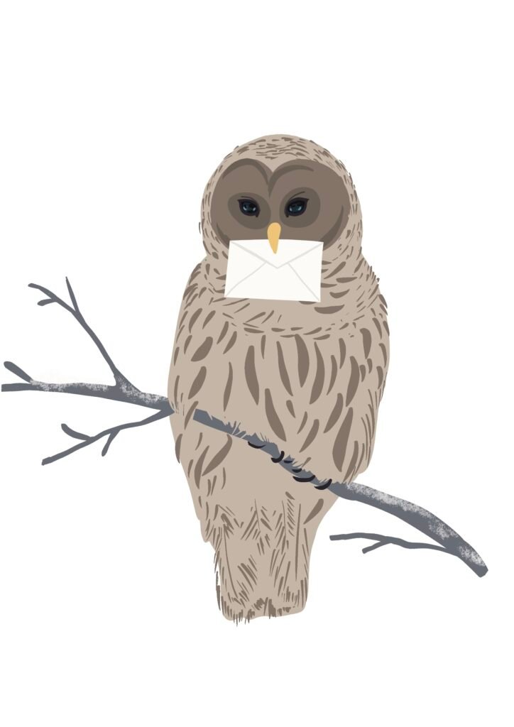 owl